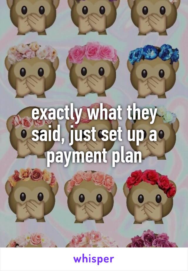 exactly what they said, just set up a payment plan