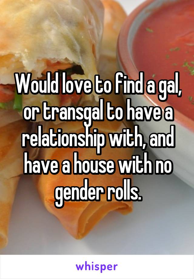 Would love to find a gal, or transgal to have a relationship with, and have a house with no gender rolls.