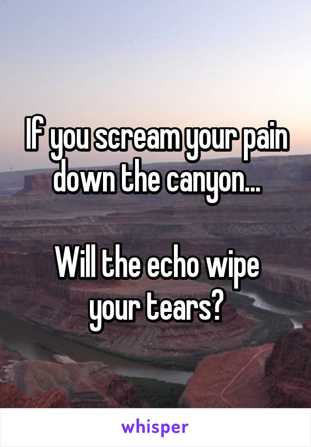 If you scream your pain down the canyon...

Will the echo wipe your tears?