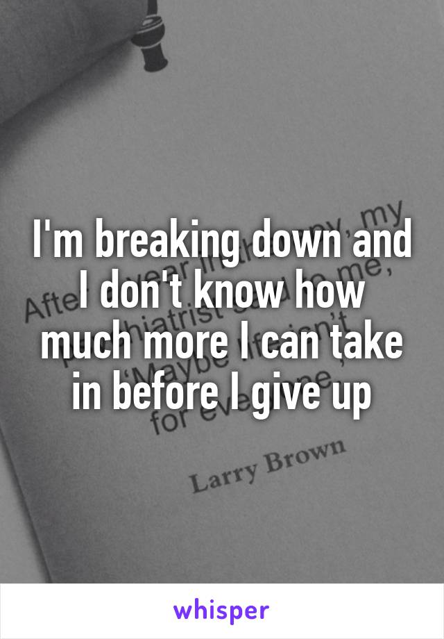 I'm breaking down and I don't know how much more I can take in before I give up