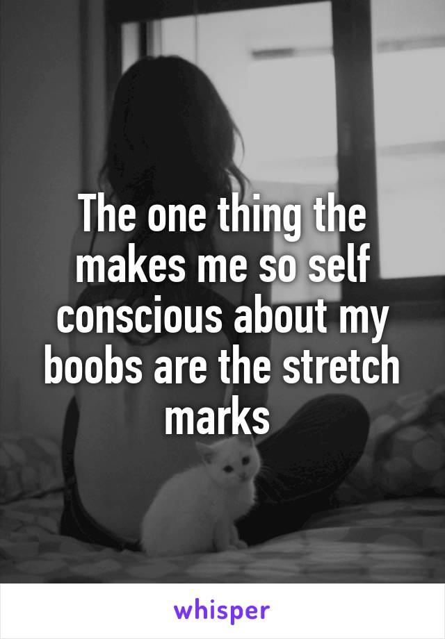 The one thing the makes me so self conscious about my boobs are the stretch marks 