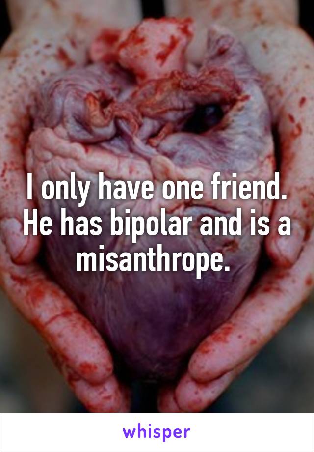 I only have one friend. He has bipolar and is a misanthrope. 