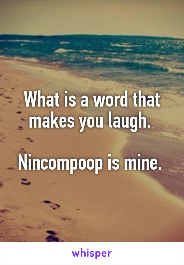 What is a word that makes you laugh. 

Nincompoop is mine. 