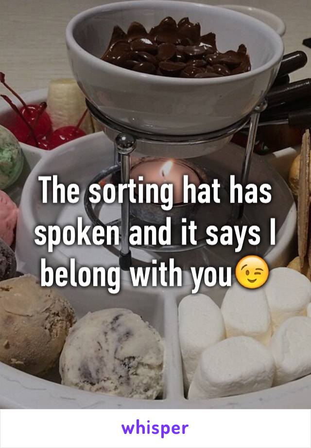 The sorting hat has spoken and it says I belong with you😉