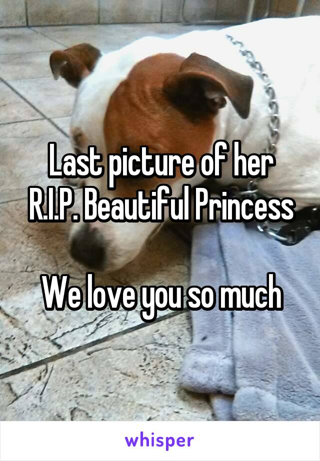 Last picture of her
R.I.P. Beautiful Princess

We love you so much