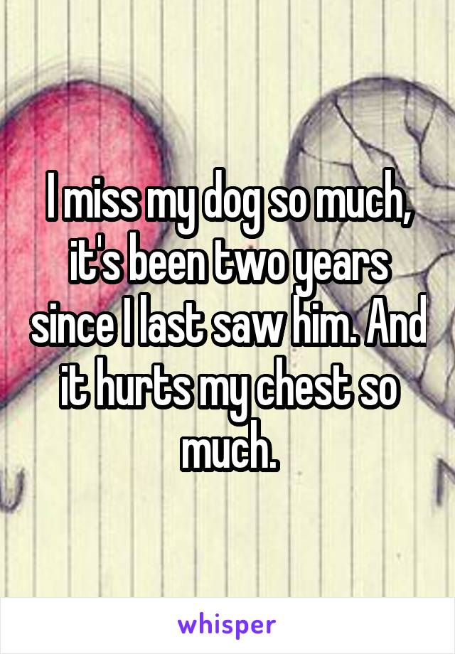 I miss my dog so much, it's been two years since I last saw him. And it hurts my chest so much.