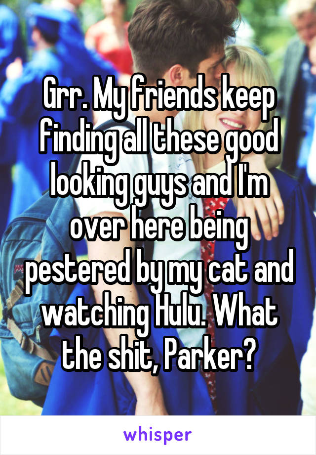 Grr. My friends keep finding all these good looking guys and I'm over here being pestered by my cat and watching Hulu. What the shit, Parker?