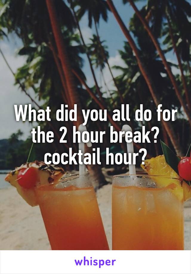 What did you all do for the 2 hour break? cocktail hour?