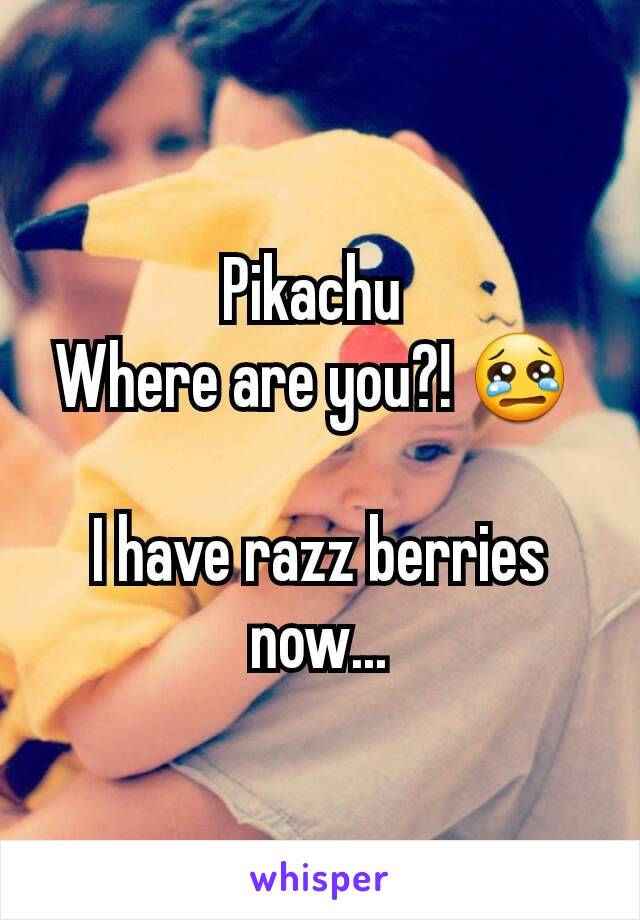 Pikachu 
Where are you?! 😢 

I have razz berries now...