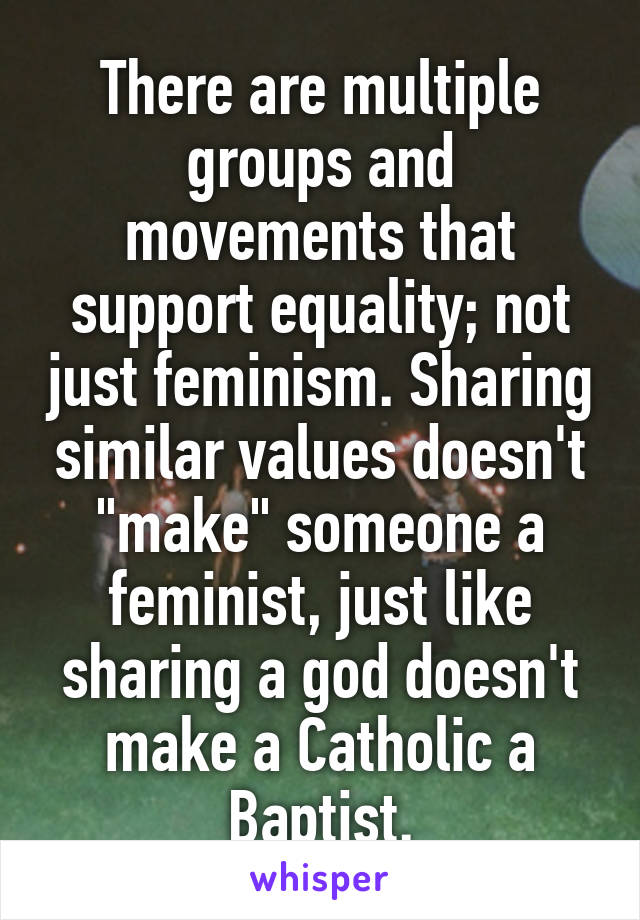 There are multiple groups and movements that support equality; not just feminism. Sharing similar values doesn't "make" someone a feminist, just like sharing a god doesn't make a Catholic a Baptist.