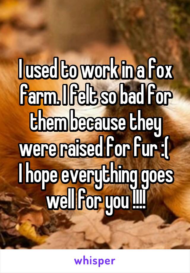 I used to work in a fox farm. I felt so bad for them because they were raised for fur :( 
I hope everything goes well for you !!!!