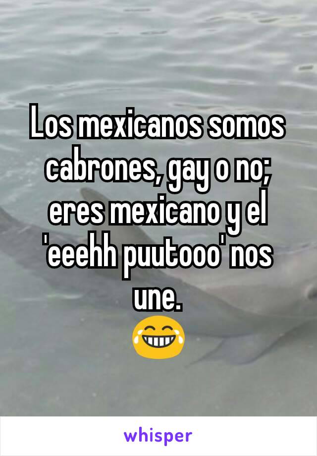 Los mexicanos somos cabrones, gay o no; eres mexicano y el 'eeehh puutooo' nos une.
😂