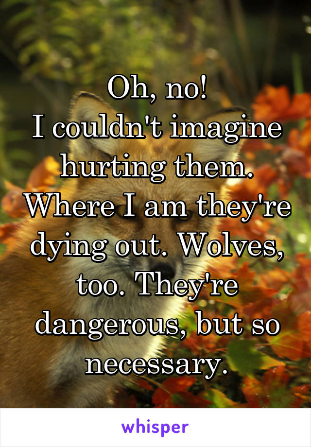 Oh, no!
I couldn't imagine hurting them. Where I am they're dying out. Wolves, too. They're dangerous, but so necessary.