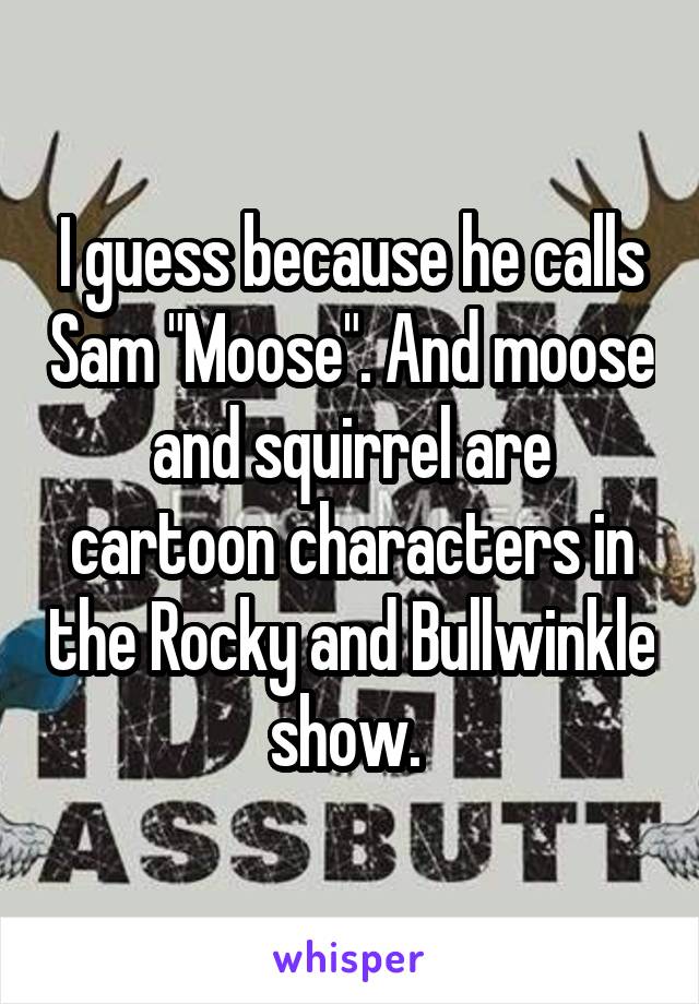 I guess because he calls Sam "Moose". And moose and squirrel are cartoon characters in the Rocky and Bullwinkle show. 