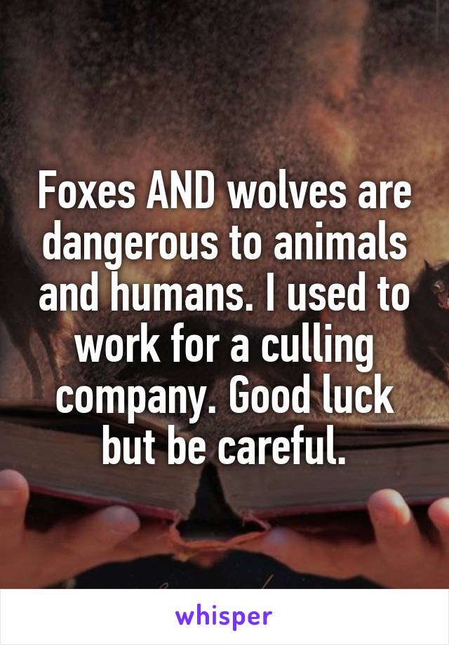 Foxes AND wolves are dangerous to animals and humans. I used to work for a culling company. Good luck but be careful.