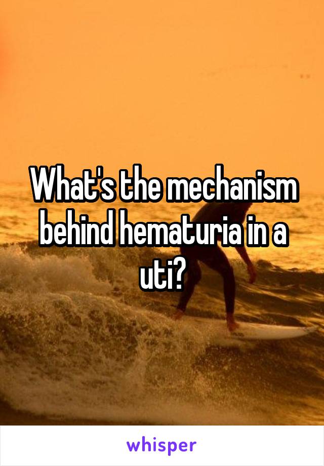 What's the mechanism behind hematuria in a uti?