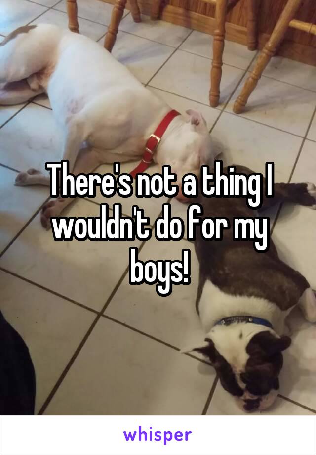 There's not a thing I wouldn't do for my boys!