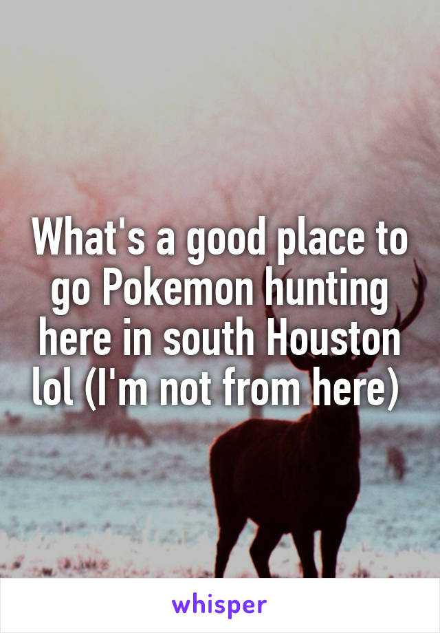 What's a good place to go Pokemon hunting here in south Houston lol (I'm not from here) 