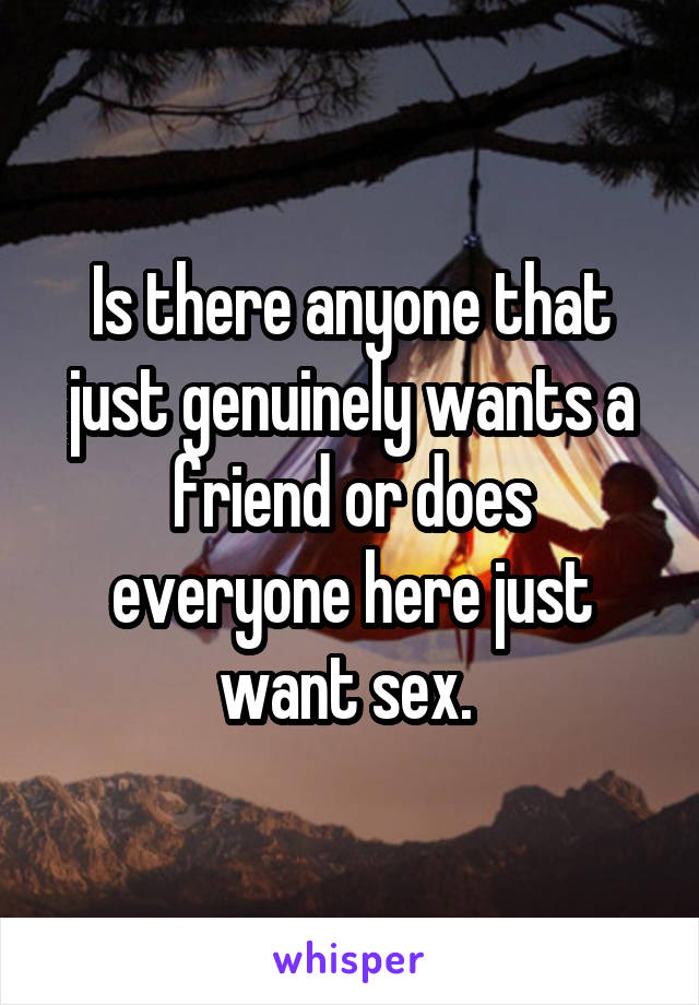 Is there anyone that just genuinely wants a friend or does everyone here just want sex. 