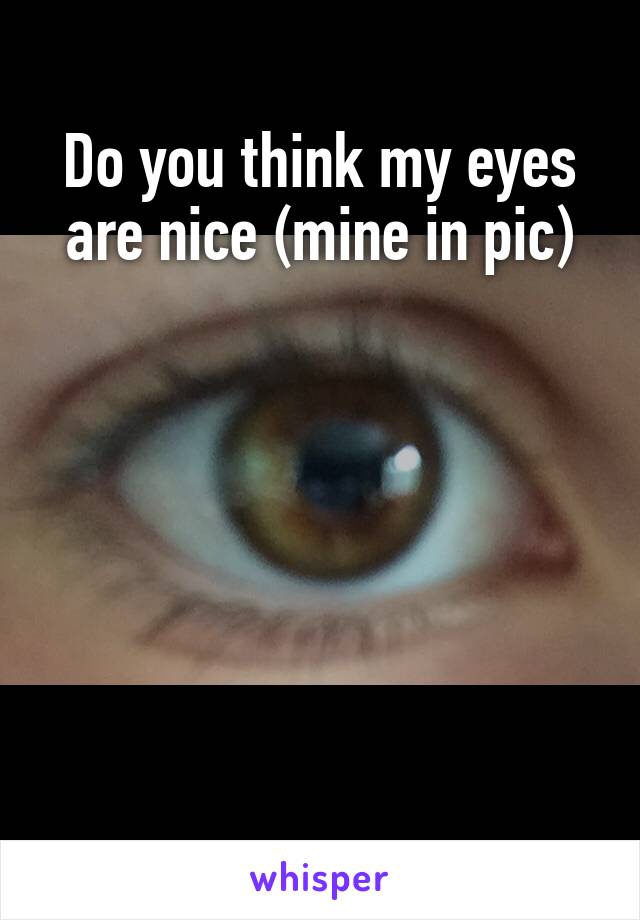 Do you think my eyes are nice (mine in pic)






