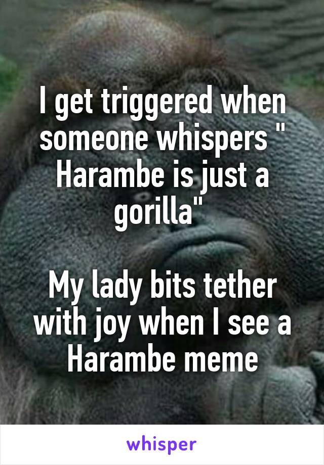I get triggered when someone whispers " Harambe is just a gorilla" 

My lady bits tether with joy when I see a Harambe meme