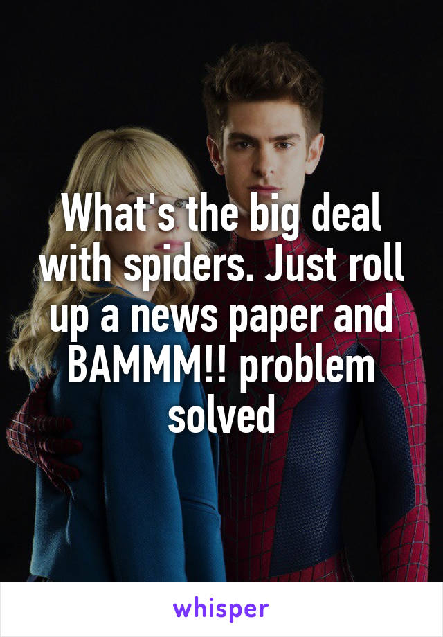 What's the big deal with spiders. Just roll up a news paper and BAMMM!! problem solved