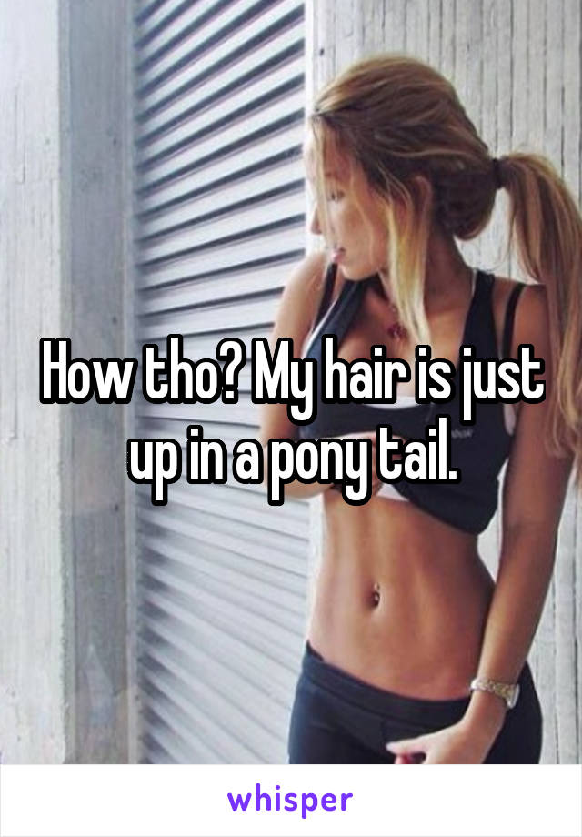 How tho? My hair is just up in a pony tail.