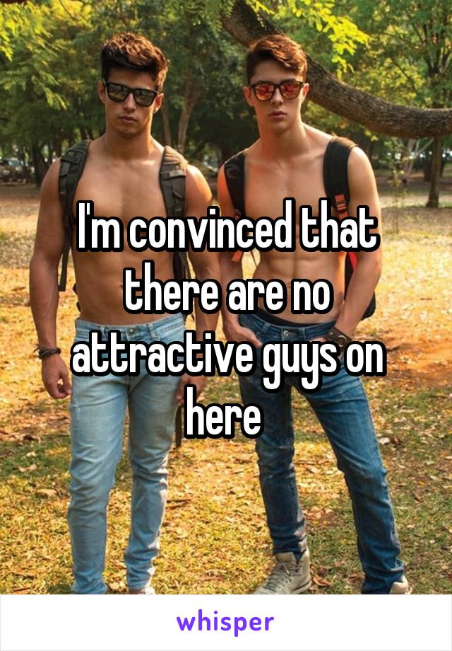 I'm convinced that there are no attractive guys on here 