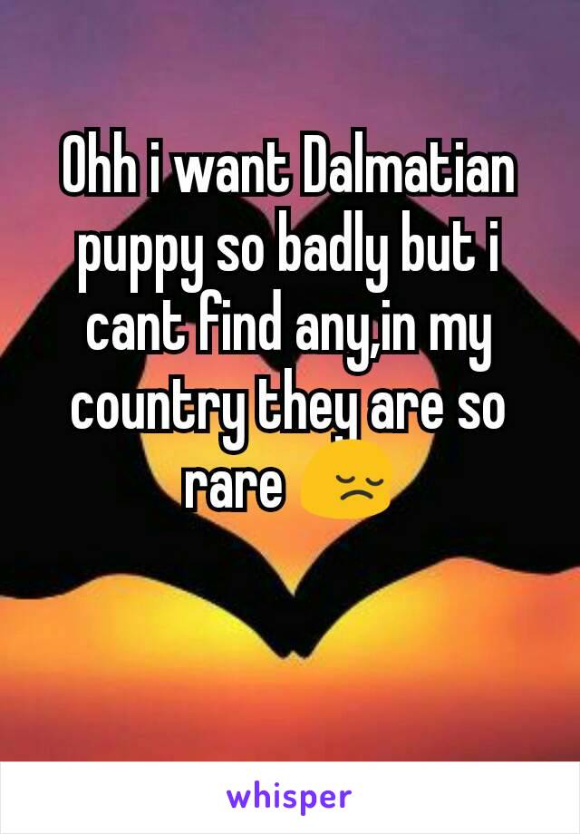 Ohh i want Dalmatian puppy so badly but i cant find any,in my country they are so rare 😔