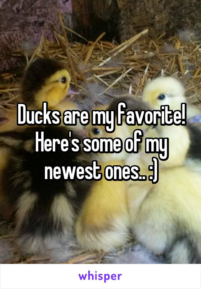 Ducks are my favorite! Here's some of my newest ones.. :)