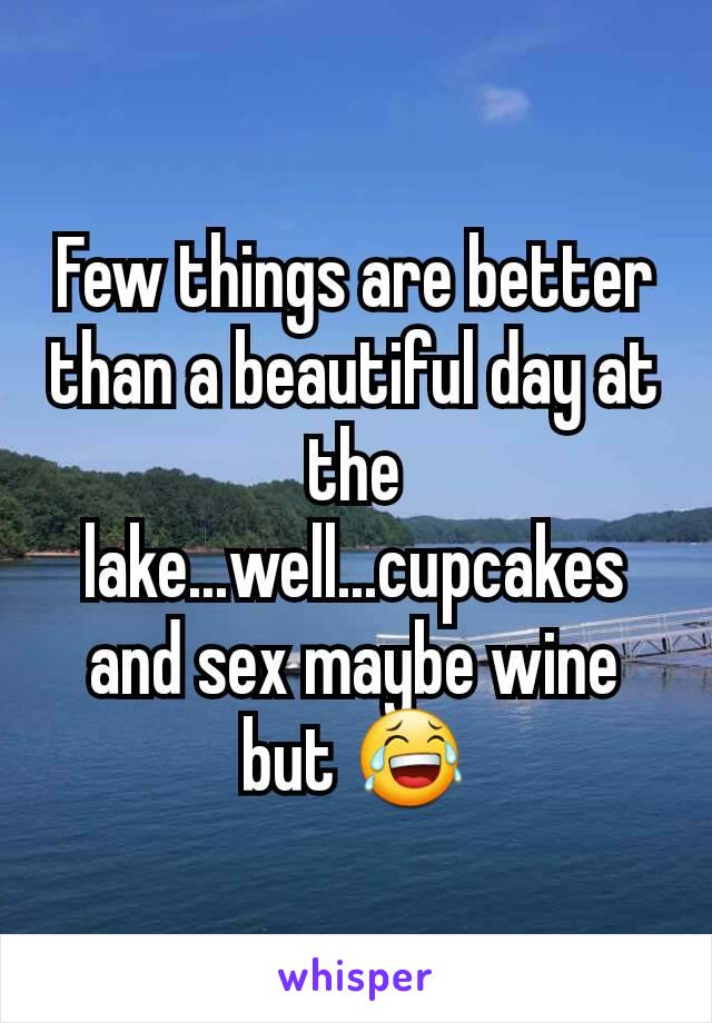 Few things are better than a beautiful day at the lake...well...cupcakes and sex maybe wine but 😂