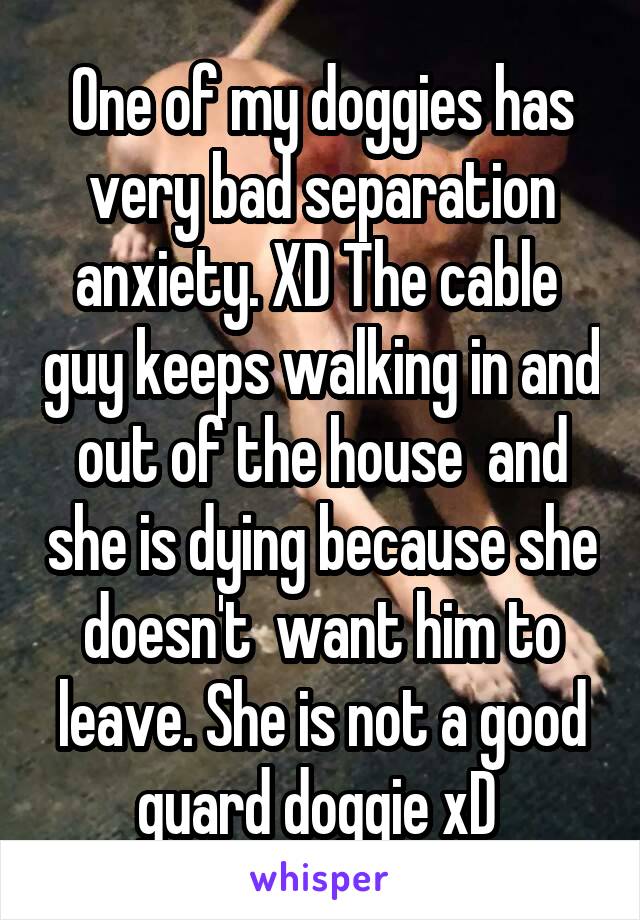 One of my doggies has very bad separation anxiety. XD The cable  guy keeps walking in and out of the house  and she is dying because she doesn't  want him to leave. She is not a good guard doggie xD 