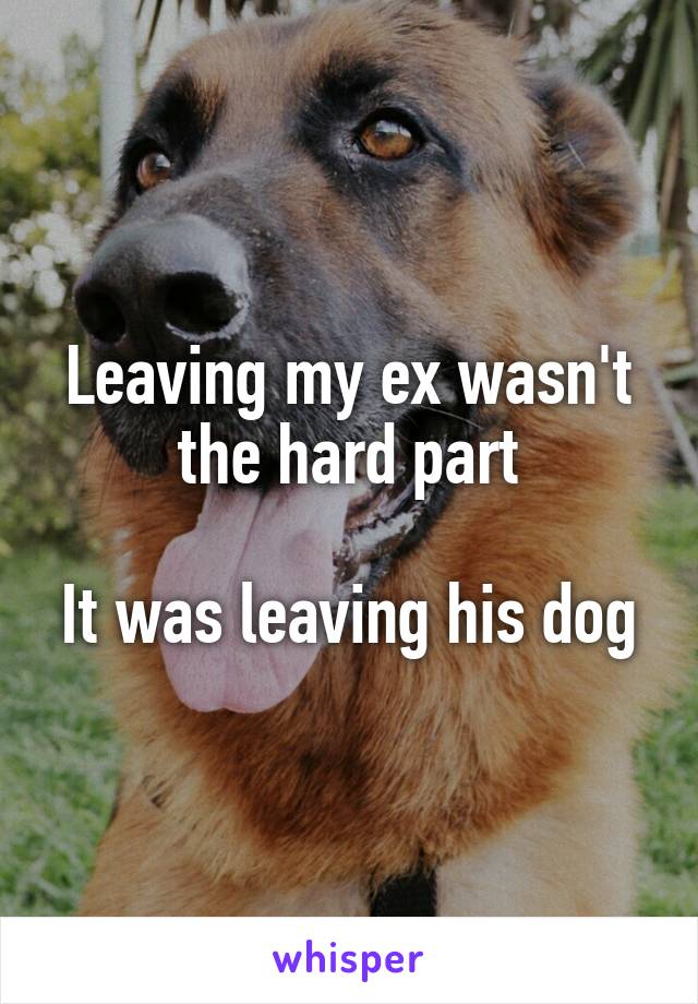 Leaving my ex wasn't the hard part

It was leaving his dog