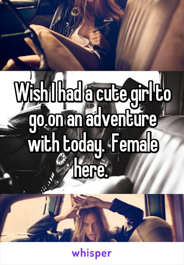 Wish I had a cute girl to go on an adventure with today.  Female here. 