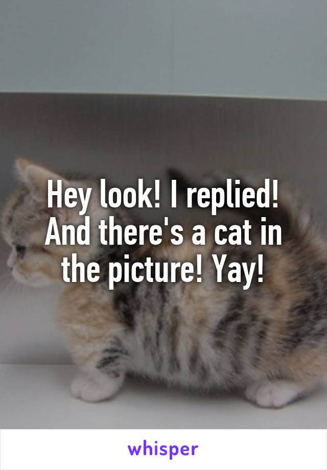 Hey look! I replied!
And there's a cat in the picture! Yay!