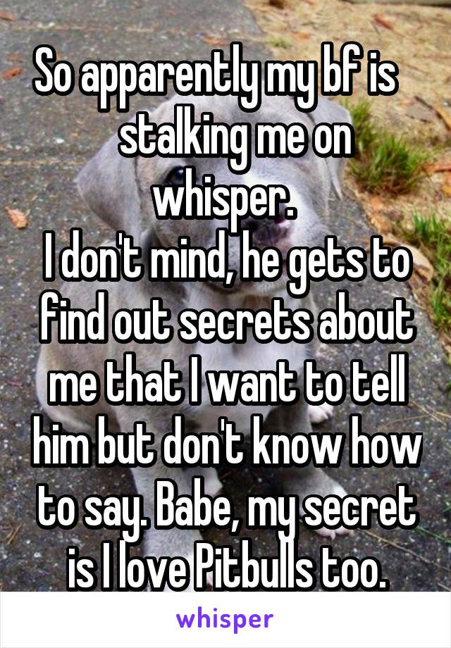 So apparently my bf is       stalking me on  whisper. 
I don't mind, he gets to find out secrets about me that I want to tell him but don't know how to say. Babe, my secret is I love Pitbulls too.