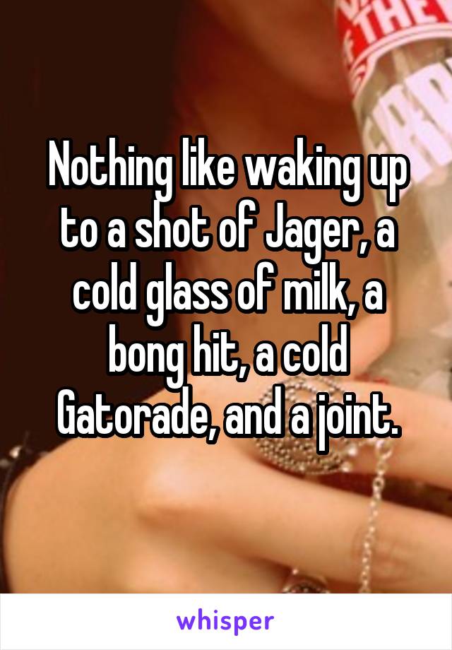 Nothing like waking up to a shot of Jager, a cold glass of milk, a bong hit, a cold Gatorade, and a joint.
