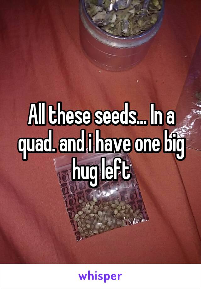 All these seeds... In a quad. and i have one big hug left