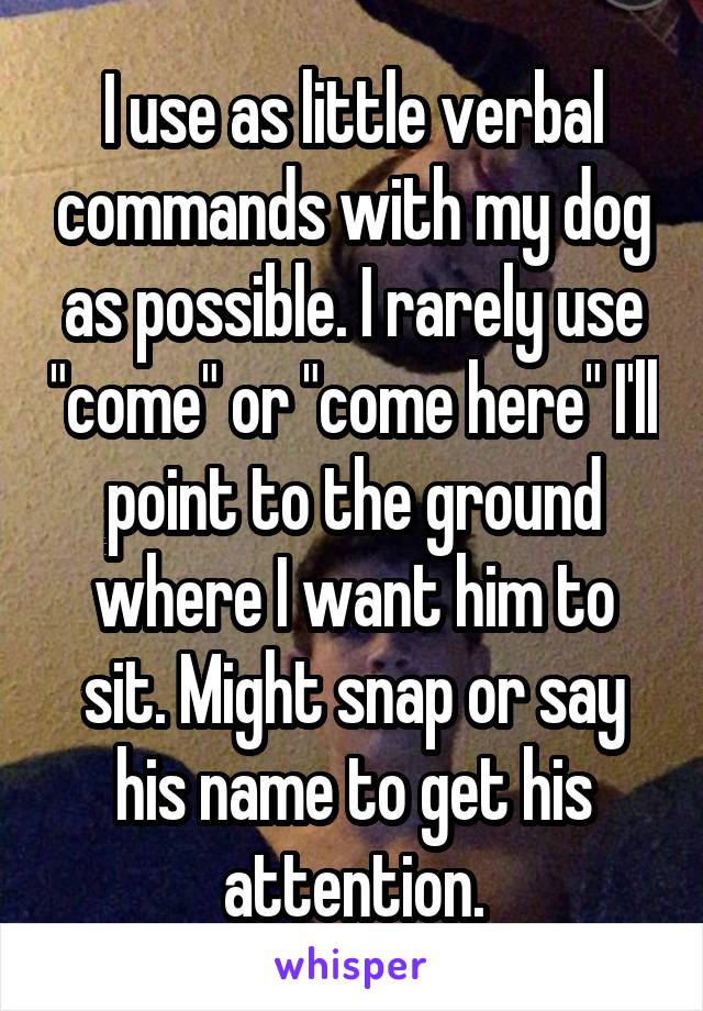 I use as little verbal commands with my dog as possible. I rarely use "come" or "come here" I'll point to the ground where I want him to sit. Might snap or say his name to get his attention.