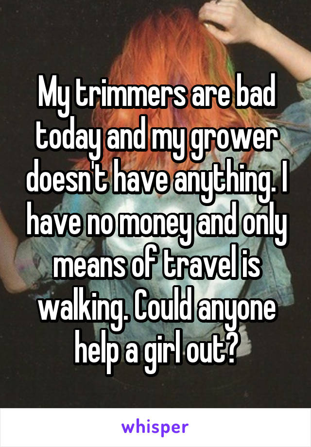 My trimmers are bad today and my grower doesn't have anything. I have no money and only means of travel is walking. Could anyone help a girl out?