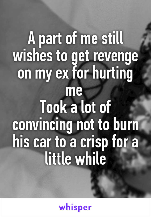 A part of me still wishes to get revenge on my ex for hurting me 
Took a lot of convincing not to burn his car to a crisp for a little while
