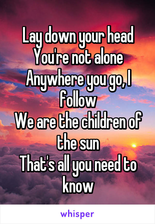 Lay down your head
You're not alone
Anywhere you go, I follow
We are the children of the sun
That's all you need to know