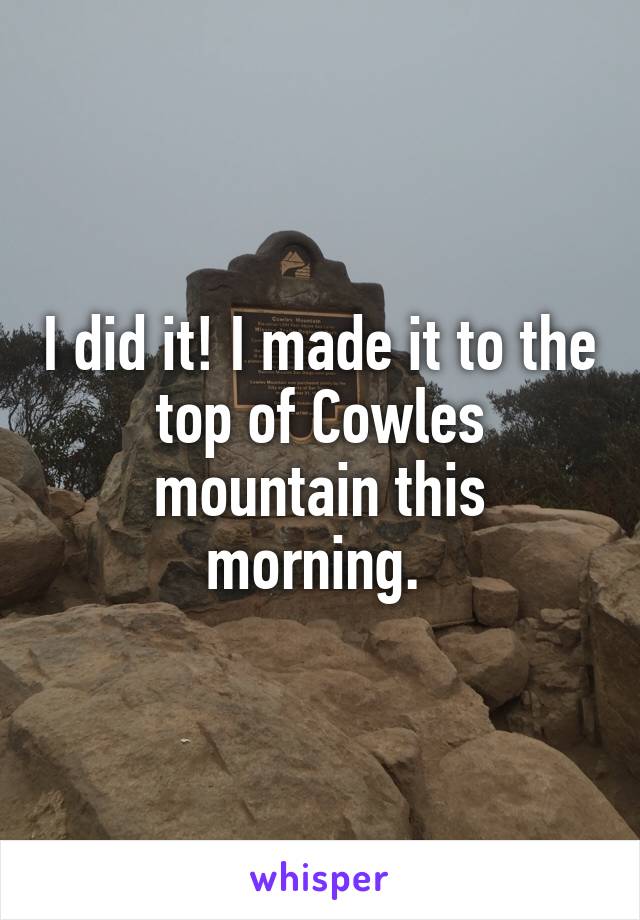 I did it! I made it to the top of Cowles mountain this morning. 
