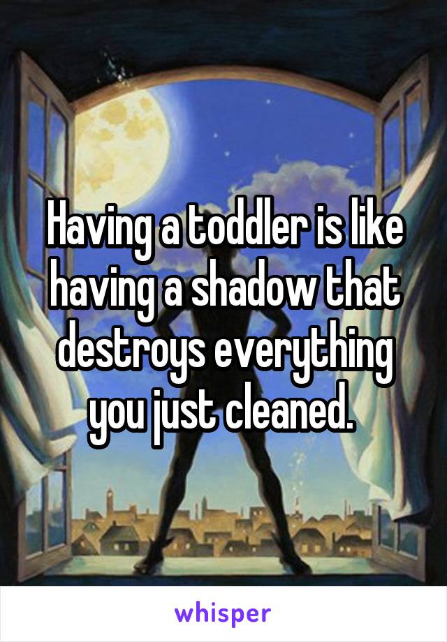 Having a toddler is like having a shadow that destroys everything you just cleaned. 