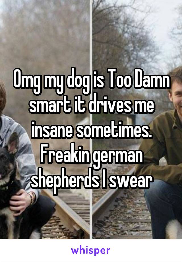 Omg my dog is Too Damn smart it drives me insane sometimes.
Freakin german shepherds I swear