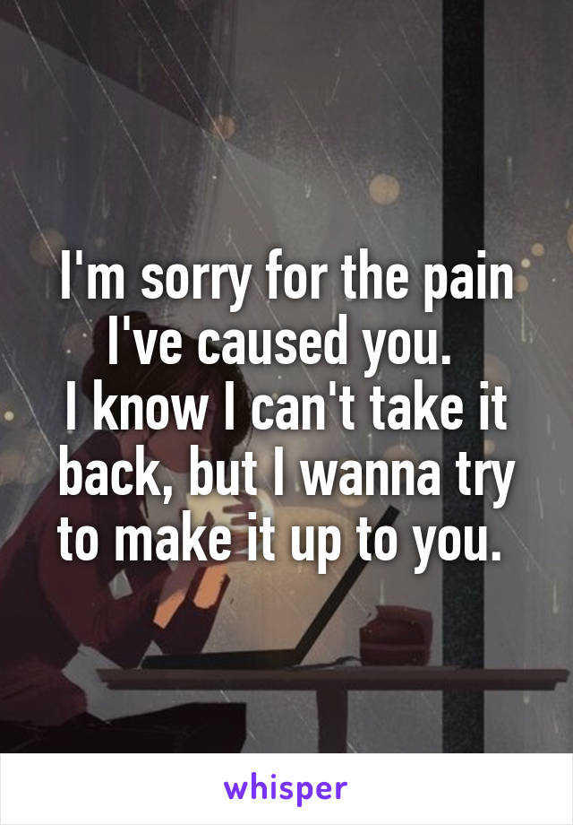 I'm sorry for the pain I've caused you. 
I know I can't take it back, but I wanna try to make it up to you. 