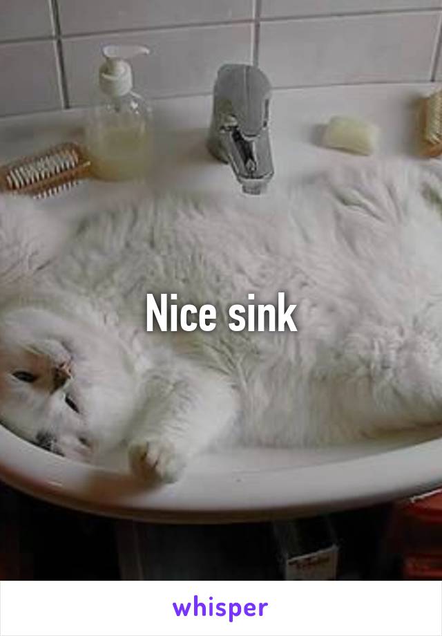 Nice sink