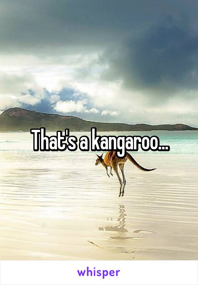 That's a kangaroo...