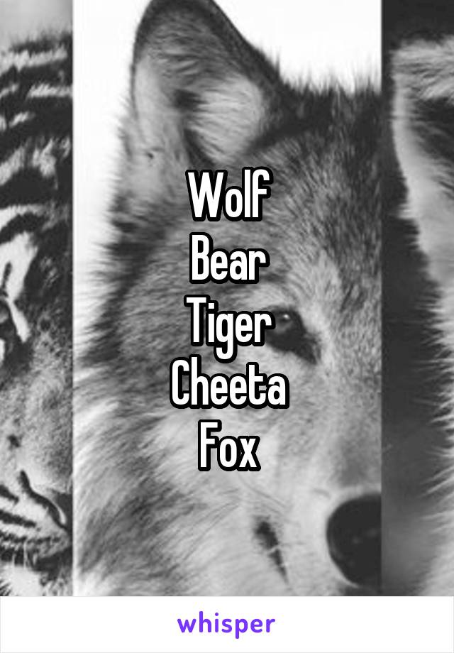 Wolf
Bear
Tiger
Cheeta
Fox