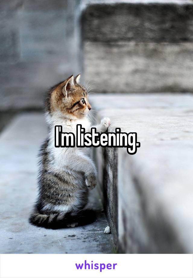 I'm listening.